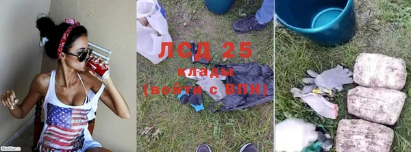 гидра Заволжье