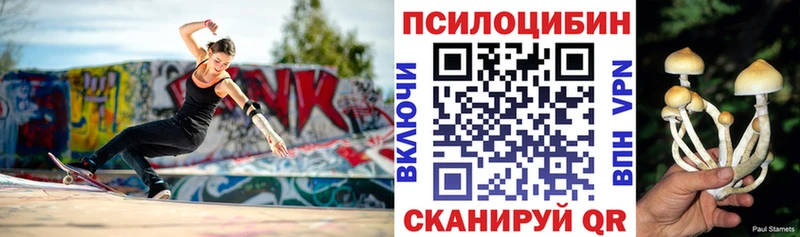 Галлюциногенные грибы Magic Shrooms  Купить где  Невьянск 