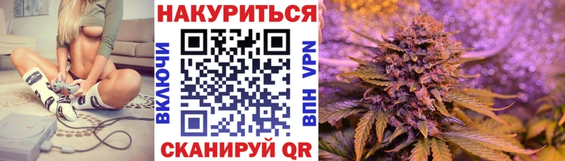 Купить где Невьянск Шишки марихуана сатива